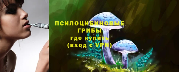 спайс Кукмор