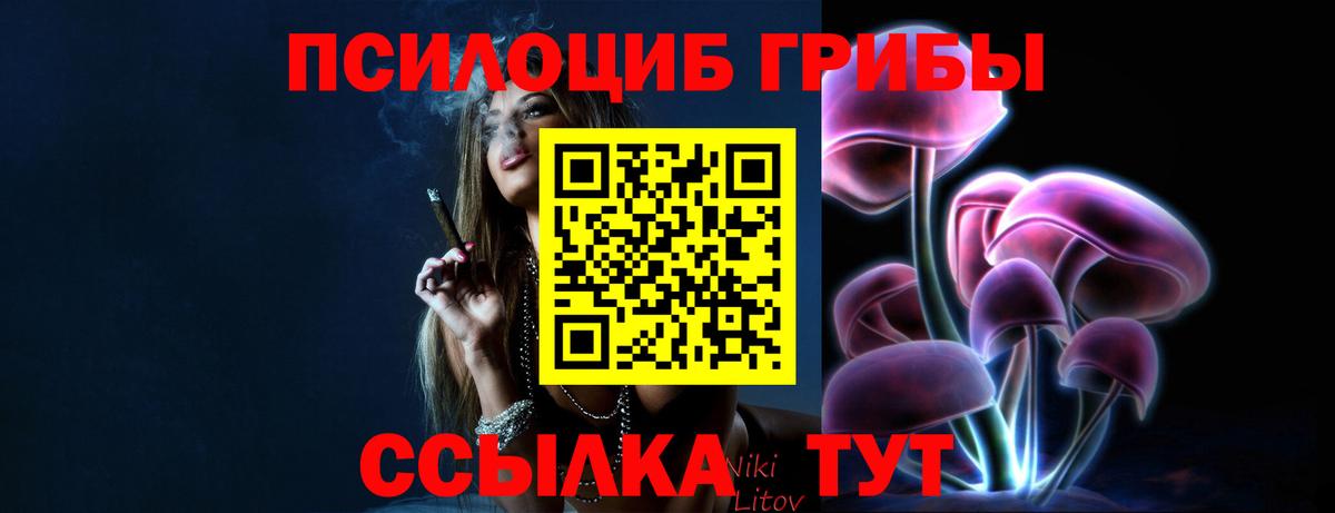 Псилоцибиновые грибы GOLDEN TEACHER Ковров
